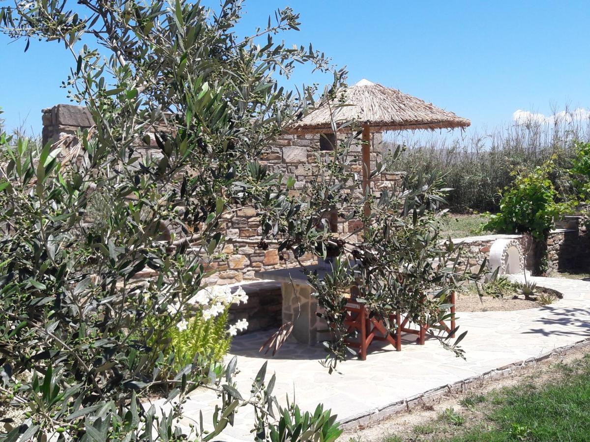 Elpidas studios Agia Anna (Naxos) Exterior foto