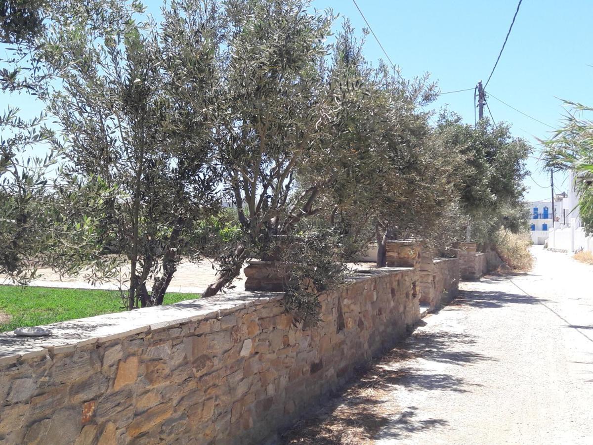 Elpidas studios Agia Anna (Naxos) Exterior foto