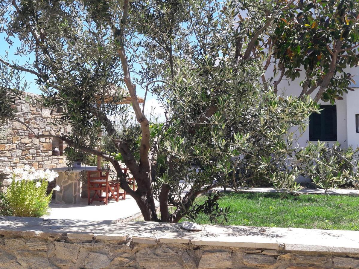 Elpidas studios Agia Anna (Naxos) Exterior foto